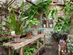 Nurseries
