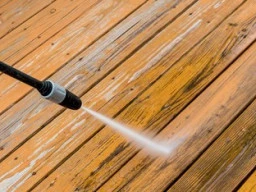 Fence Cleaning