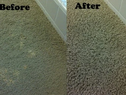Carpet Dyeing