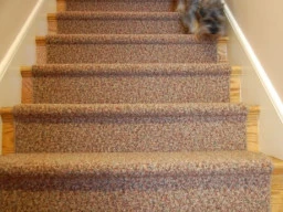Stair Carpet