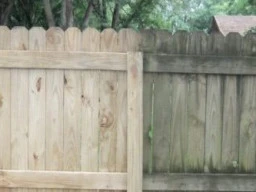Wooden Fence Cleaning
