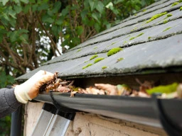 Gutter Cleaning Tips