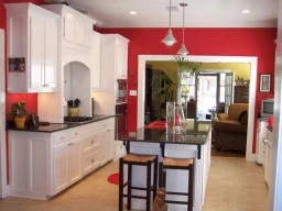 Kitchen Paint advice
