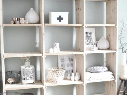 Bookshelves and Cabinets