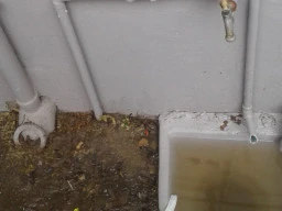 THE DANGERS OF BLOCKED DRAINS
