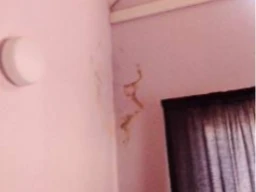 DEFECTIVE BUILDING DEFECTS