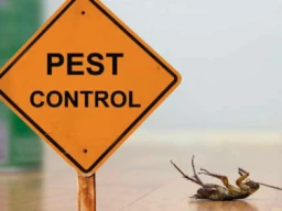 Integrated Pest Management: A Comprehensive Approach to Effective Pest Control