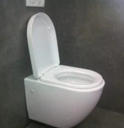 wall hung toilet installation special Buccleuch Driveway Contractors &amp; Services