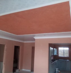 ceiling, painting and tiling Orange Farm Builders &amp; Building Contractors