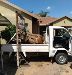 Tree stump removal Dalmada AH Builder Clean Ups