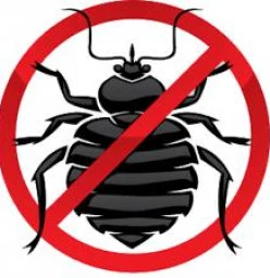 Worried about pests in your home call us Wynberg Infestation &amp; Fumigation