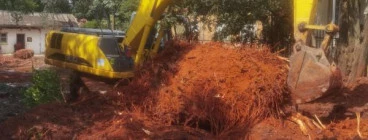 Tree Cutting &amp; Removal Services South Africa (The Expert Feller) Brooklyn Excavation &amp; Demolition