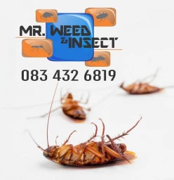 Discount on follow up treatments Del Judor Pest Control Contractors &amp; Services