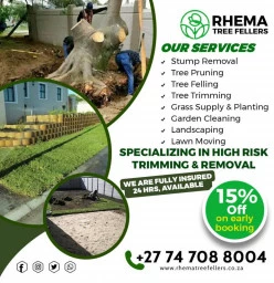 Rhematreefellers Cape Town Central Tree Stump Removal &amp; Grinding