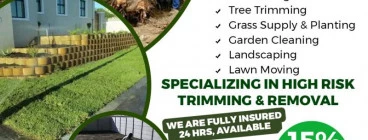 Rhematreefellers Cape Town Central Tree Stump Removal &amp; Grinding