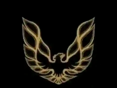 Individual Private Security