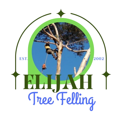 Elijah Tree Felling