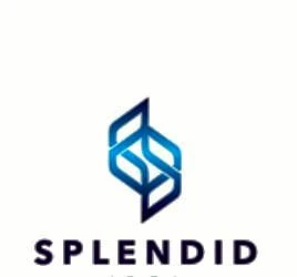  Splendid Holding Projects