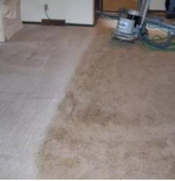 ChemDry Professional Carpet Cleaners PE Port Elizabeth Central 1