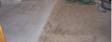 ChemDry Professional Carpet Cleaners PE Port Elizabeth Central 1