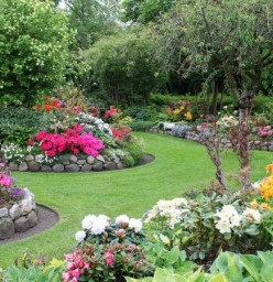 Nomdan Garden Design Company Sandton CBD 1