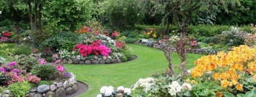 Nomdan Garden Design Company Sandton CBD 1