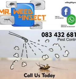 Mr. Weed & insect cockroaches treatment