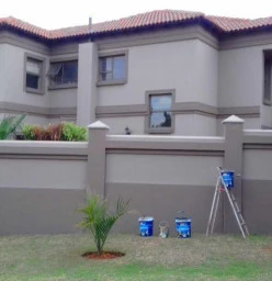 Painting Pretoria Central Tree Cutting , Felling &amp; Removal