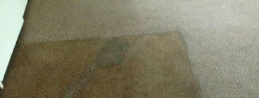 COGSERVICES PTY LTD was founded by two individuals who are addicted to cleaning in February 2017.Wonder H cleaning service is available 24 hours,7 days a week. Most of our work is to clean commercial bulding,industral premises and after construction/post