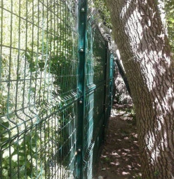 Beta Fence