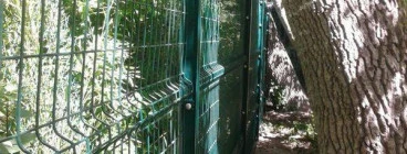 Beta Fence