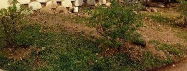 Garden wall