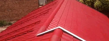 Gutter Mr Germiston CBD 1