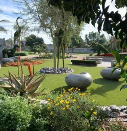iGrass Display Garden - Bellville