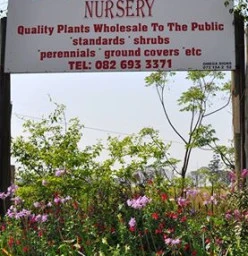 Blooms Nursery Hayfields 1