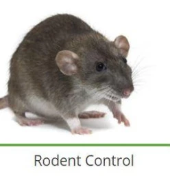 The Specialists Pest Control Welkom Doorn 1