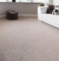 Execudry Carpet Cleaners Highlands North 1
