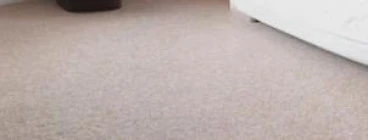 Execudry Carpet Cleaners Highlands North 1