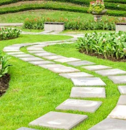 Instant Lawn