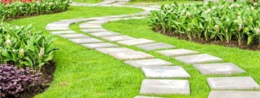 Instant Lawn