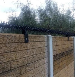 Concrete Wall Spikes Flamingo Vlei
