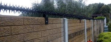 Concrete Wall Spikes Flamingo Vlei