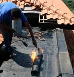 Seane Roots (pty) LTD North Riding 1