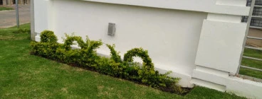 Nech gardening and cleaning Parktown 1