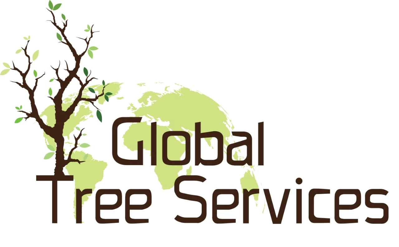 Global Tree Services  - Tree Felling Services