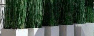 Tranquility Landscapes Pty Ltd Nelspruit CBD 1