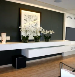 Floating Server with TV panel
