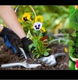 Garden maintenance