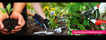 Garden maintenance