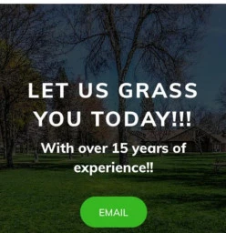 affordable quality services:Instant lawn installation,Landscapping,Garden services,Tree Felling and Paving